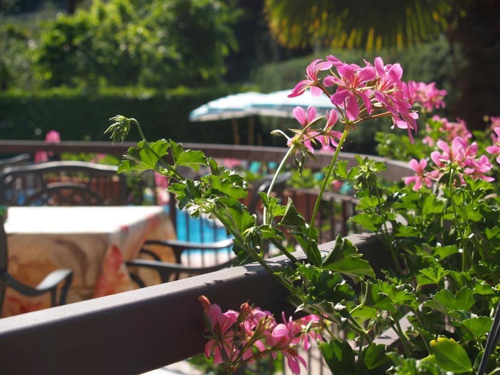 Hotel Casa Serena Malcesine Buitenkant foto